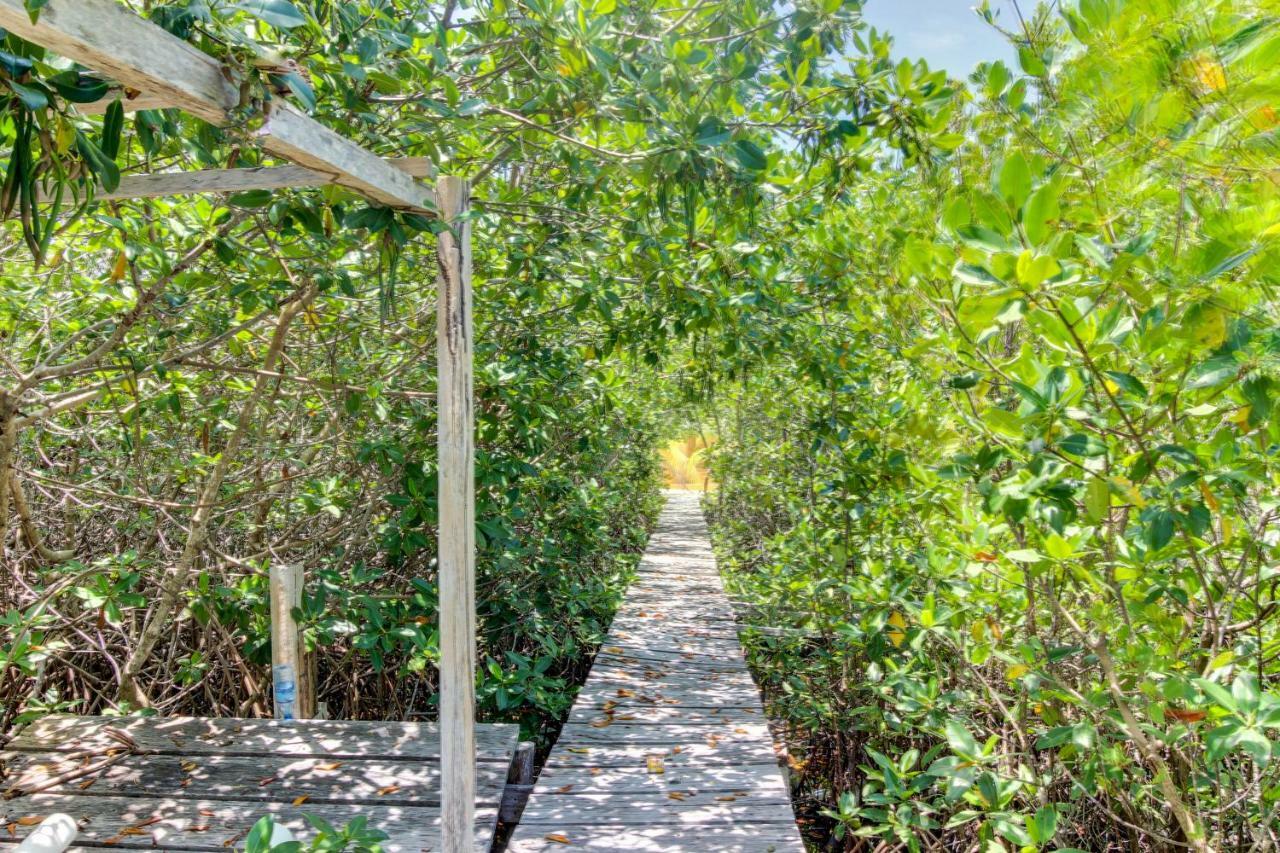 La Casa Pura Vida San Pedro (Ambergris Caye) Exterior foto
